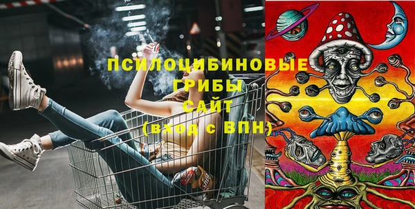 гидропоника Верхний Тагил